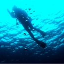 더 샾 민박 이미지