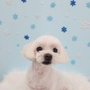 말랑이발소 이미지