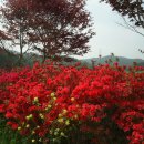 산들바다펜션 이미지