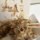 카페 인 타코야키 이미지