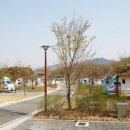 단호샌드파크 캠핑장 이미지