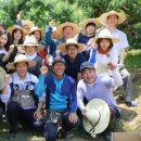 세종시_의회사무처 이미지