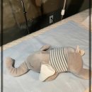 수원-1372 이미지