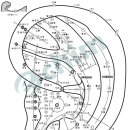 생리통의 원인과 이침 치료 이미지