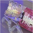 서울하얀치과의원 이미지