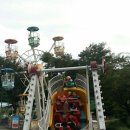 호계초교병설유치원 이미지