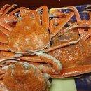 신나는대게파티 이미지