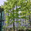 마루부동산공인중개사사무소컨설팅 | [충남] 아산탕정부동산 탕정호반써밋 분양권 매매 전세 월세 , 금빛호반공인중개사사무소