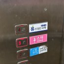 거북댄스학원 이미지