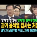 과거 윤석열 검사는 처벌했다 이미지