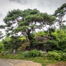 빗접바위 이미지