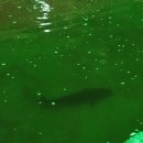 계양게임장 | 인천배낚시 대신 실내!? 계산동실내낚시 리얼체험 [인천/계양_DMZ실내낚시터]