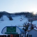 양지파인리조트 이미지