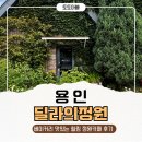 소금이네정원 | 용인 딜라의정원 후기 🌿 소금빵과 에그타르트가 맛있는 힐링 정원카페