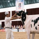 대흥목장 이미지