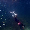 세븐일레븐 골드로즈점 | 호핑 n번째인 물친놈이 추천하는 보라카이 호핑투어 업체 &#34;땡큐보라카이&#34;