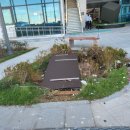 경대카 서비스 이미지