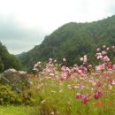 천재시인 이상(李箱)의 수필『산촌여정(山村餘情)』 이미지