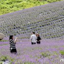 구룡 축사 이미지