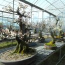 순만농장 이미지