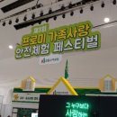 [동대문운동장 DDP체험] 프로미 가족사랑 안전체험 페스티벌 후기