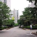 더우개로 Daum카페