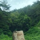 비진숲커피