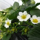 가남정보화마을 이미지