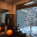 피트니스 소마 이미지