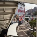 중부-현장-중부-277 | [공지] 소류구 스노쿨링 혼자서 대중부잠 방문 꿀팁