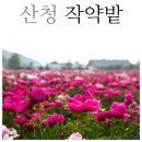 해동경로당 이미지