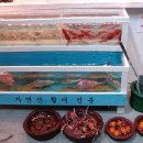 Doll House Daum카페