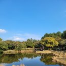 혼인지마을 | 제주도 여행 제주 혼인지