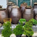 참미르한의원 이미지