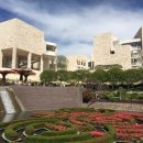 동심으로의 회귀 이미지