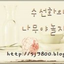 조 세탁소 이미지