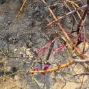 미림농장 이미지