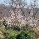 호산농원 이미지