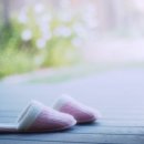 봄, 희망의소리 이미지