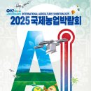 2025 이미지