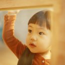 강지후 카카오 검색결과