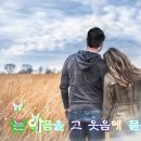 나훈아-테스형 노래방 이미지