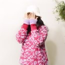 N106 이미지