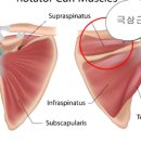 허니바디스포츠 이미지