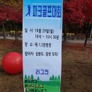 성분도복지관운동장 네이버블로그