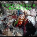 대경농장2 이미지