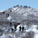 반월당명성약국 이미지