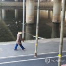 돌마교 아래 이미지