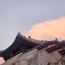 마음을 움직이는 우리 가락과 클래식 음악 톺아보기 | [일상] 2025 고궁음악회 발레x수제천 후기(+가 구역 1열 관람, 다 구역 비교 후기)