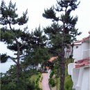 CLUB E·S 통영리조트 이미지